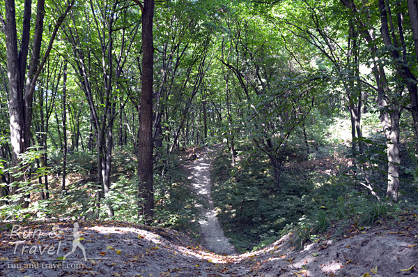 Типичный рельеф Голосеевского леса