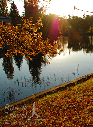 Осенний пруд