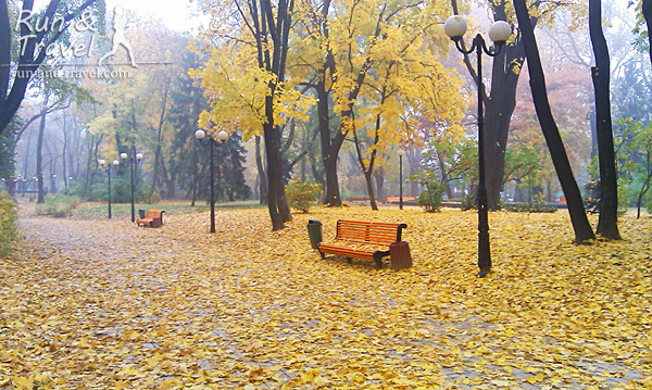 Золотая осень в Мариинском парке