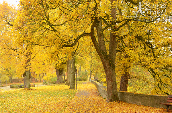 Золотая осень в крепостном парке Бюрггартен