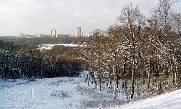 Зима в Голосеевском лесу