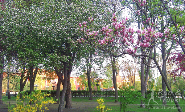 Цветущий парк Шевченко в конце апреля