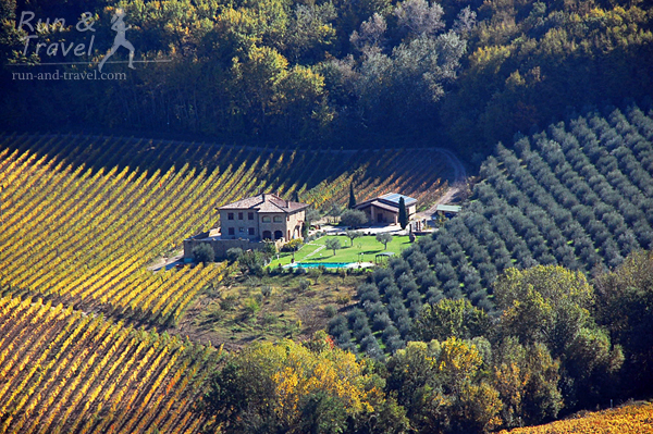 Осенние цвета и фактуры Тосканы